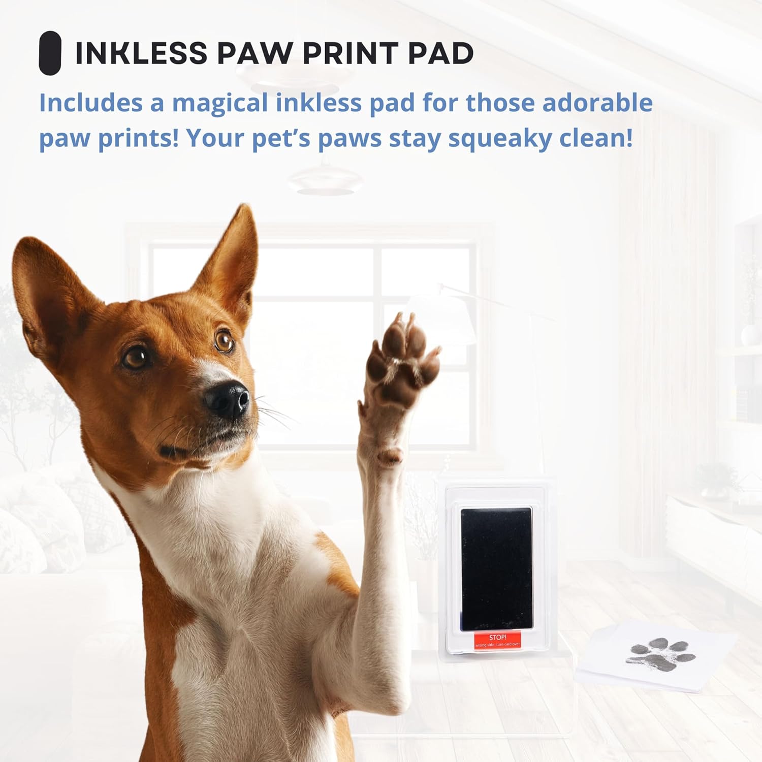 The FuzziMemories™ Custom Pet Urn with Paw Print Kit – 4-Display Memorial Box for Dogs & Cats